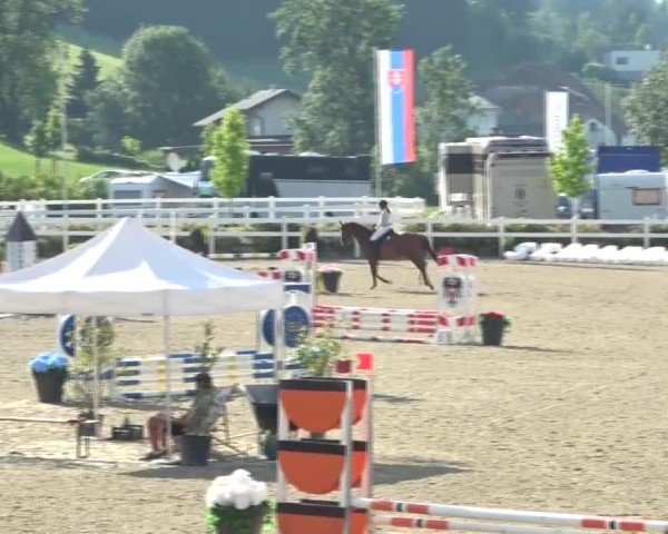 Reitturnier St. Margarethen 2024
