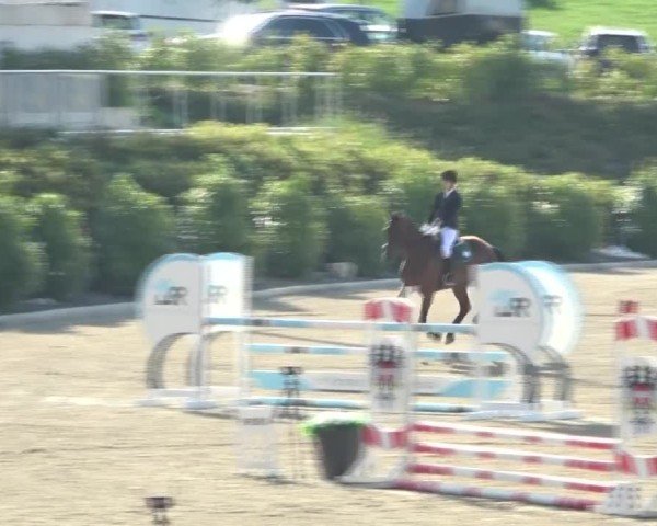 Reitturnier St. Margarethen 2024