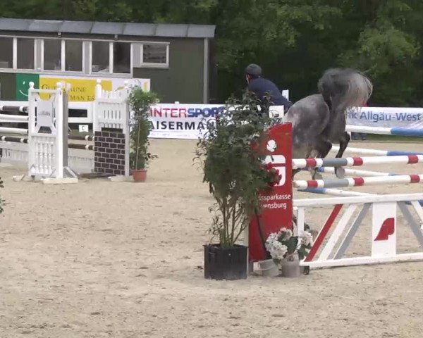 Isny-Rohrdorf 2013