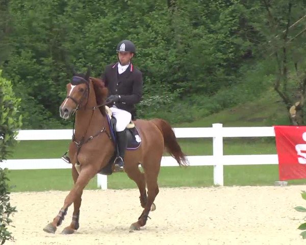 Isny-Rohrdorf 2013