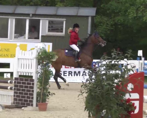 Isny-Rohrdorf 2013
