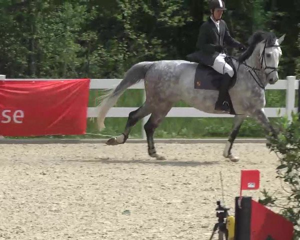 Isny-Rohrdorf 2013