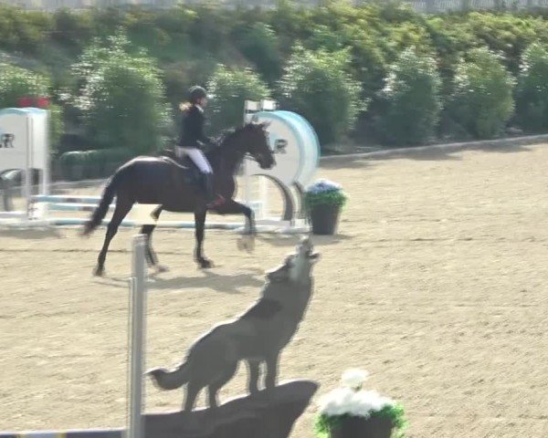 Reitturnier St. Margarethen 2024