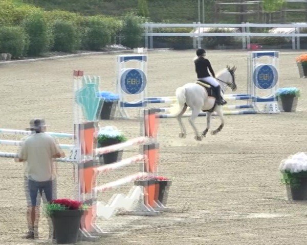 Reitturnier St. Margarethen 2024
