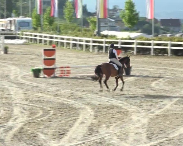 Reitturnier St. Margarethen 2024