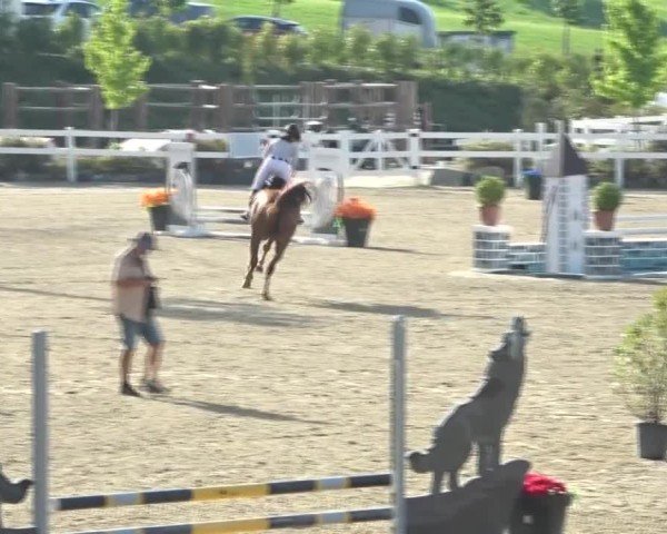 Reitturnier St. Margarethen 2024