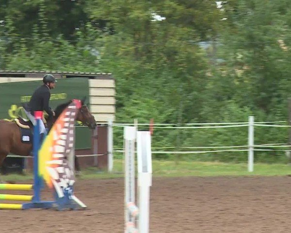 Reitturnier Demantsfürth/Mfr. 2024
