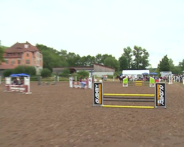 Reitturnier Demantsfürth/Mfr. 2024