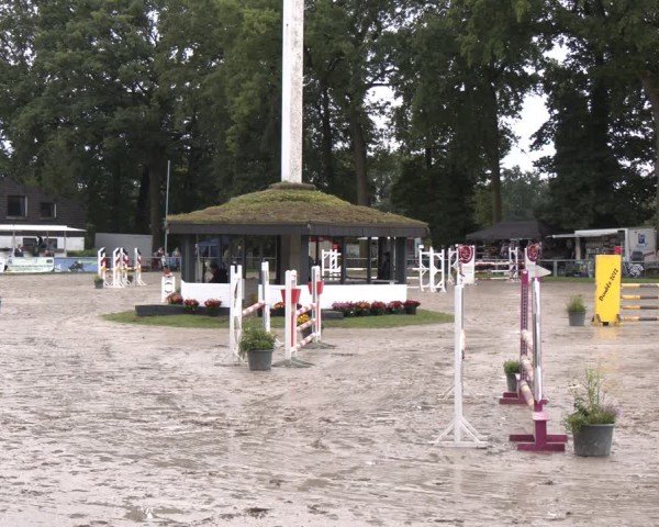 Reitturnier Datteln 2024