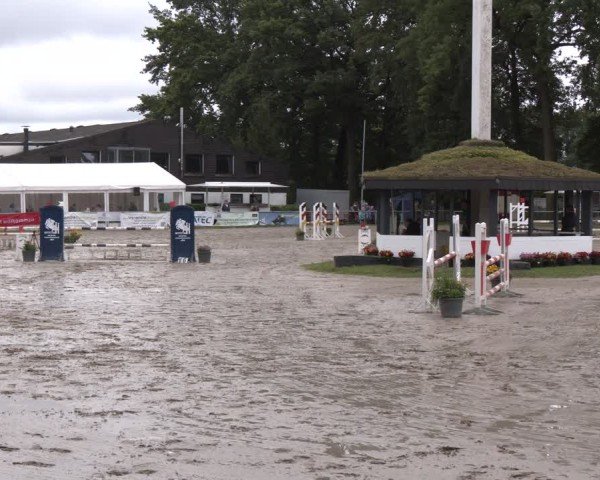 Reitturnier Datteln 2024