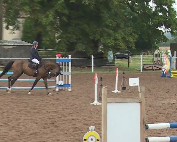 Reitturnier Demantsfürth/Mfr. 2024