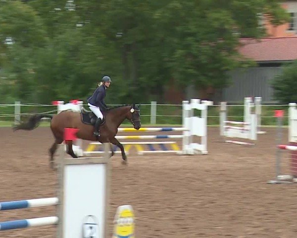 Reitturnier Demantsfürth/Mfr. 2024
