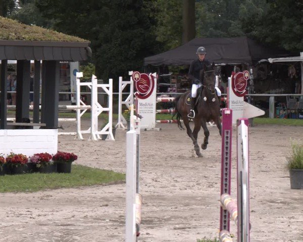 Reitturnier Datteln 2024