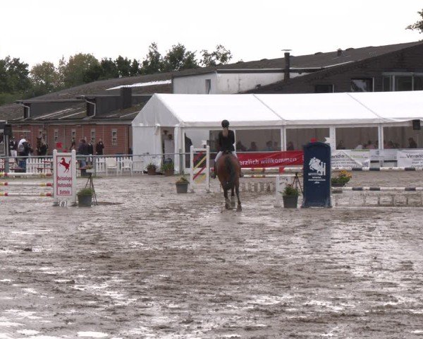 Reitturnier Datteln 2024