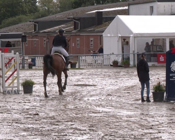 Reitturnier Datteln 2024