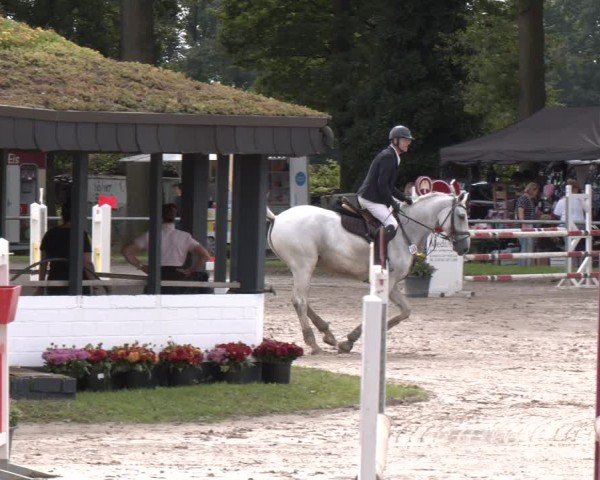 Reitturnier Datteln 2024