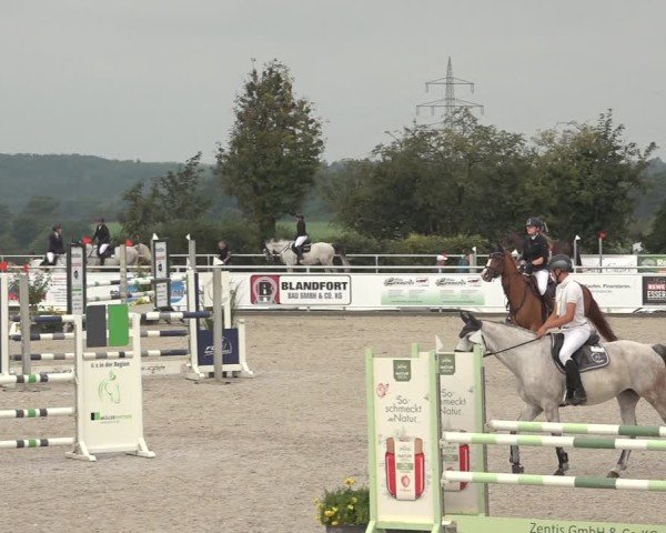 Reitturnier Stolberg-Büsbach 2024