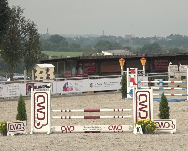 Reitturnier Stolberg-Büsbach 2024