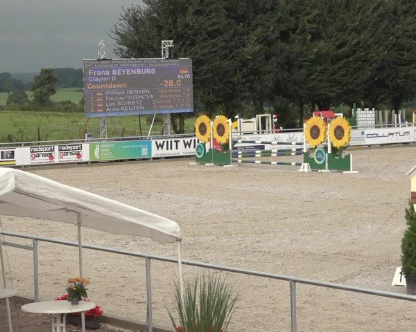 Reitturnier Stolberg-Büsbach 2024