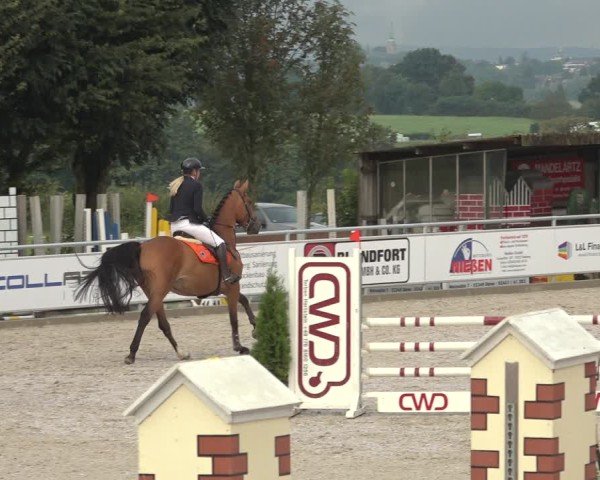 Reitturnier Stolberg-Büsbach 2024