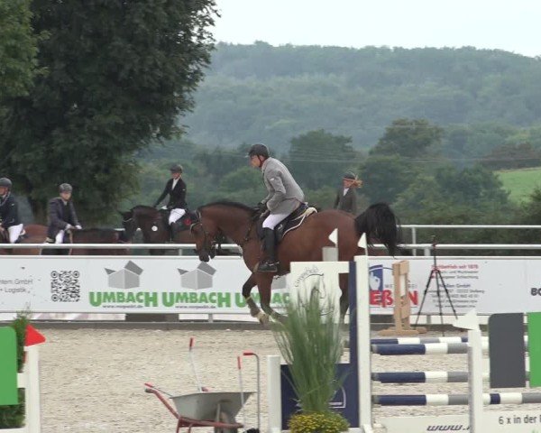 Reitturnier Stolberg-Büsbach 2024