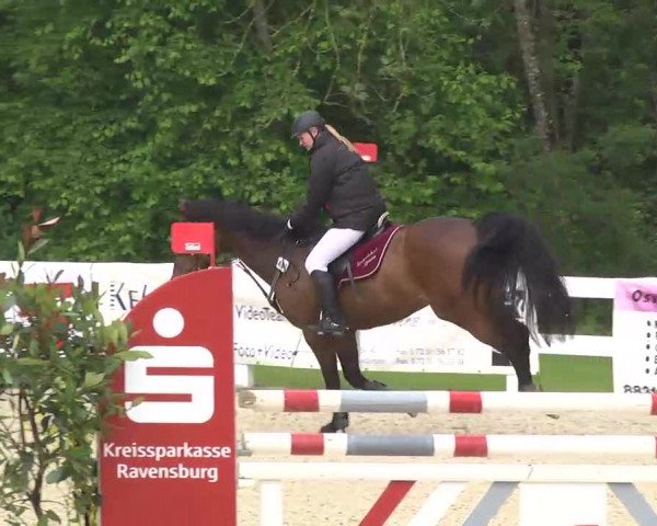 Isny-Rohrdorf 2013