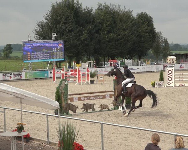 Reitturnier Stolberg-Büsbach 2024