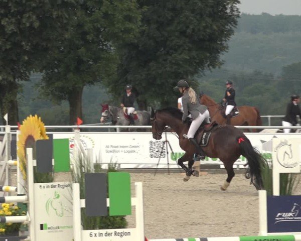 Reitturnier Stolberg-Büsbach 2024