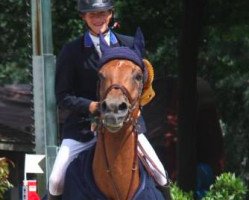 jumper Baileys Louis (Belgian Warmblood, 2007, from Jah's Diamant)