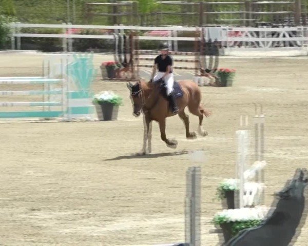 Reitturnier St. Margarethen 2024