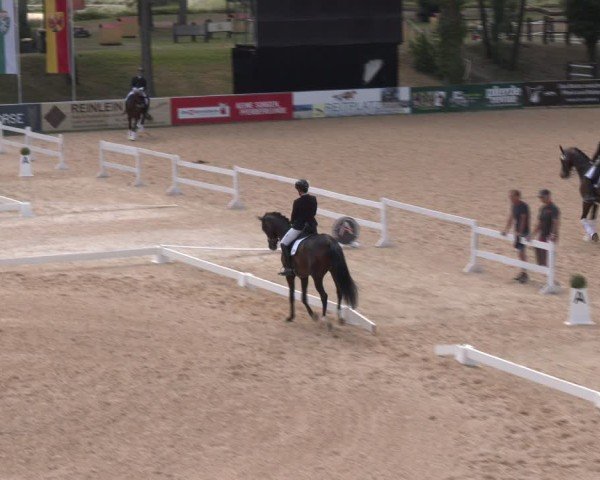 Reitturnier Stadl-Paura 2024