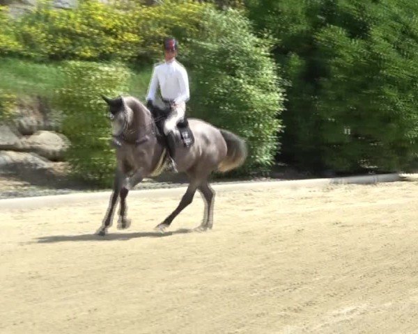 Reitturnier St. Margarethen 2024