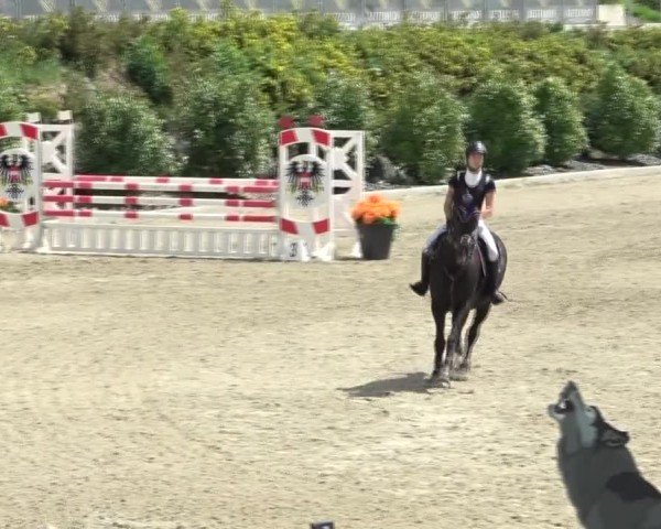 Reitturnier St. Margarethen 2024