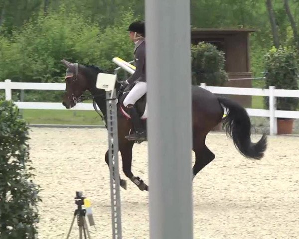 Isny-Rohrdorf 2013