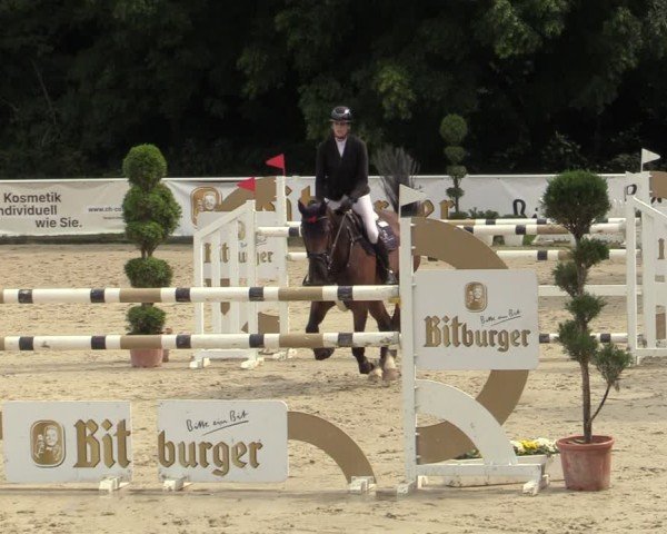 Reitturnier Bergisch Gladbach - Hebborner Hof 2024