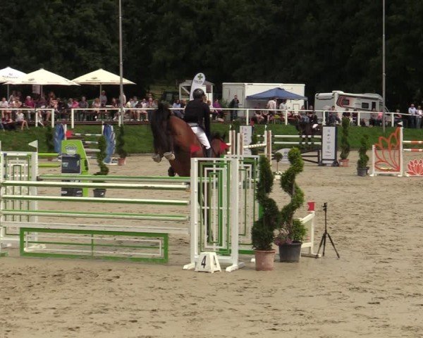 Reitturnier Bergisch Gladbach - Hebborner Hof 2024