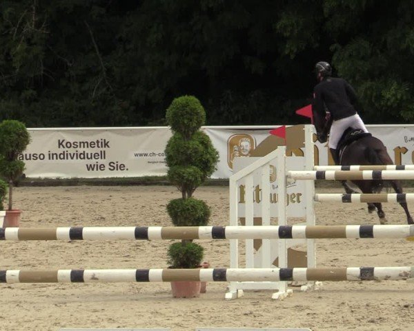 Reitturnier Bergisch Gladbach - Hebborner Hof 2024