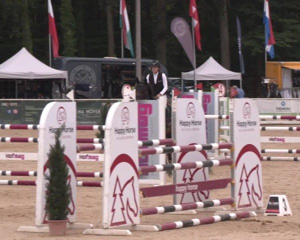 Reitturnier Ranshofen - Braunau am Inn 2024