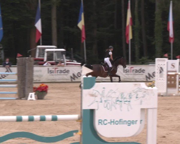 Reitturnier Ranshofen - Braunau am Inn 2024