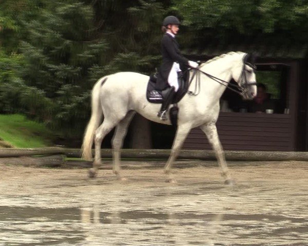 Reitturnier Datteln 2024