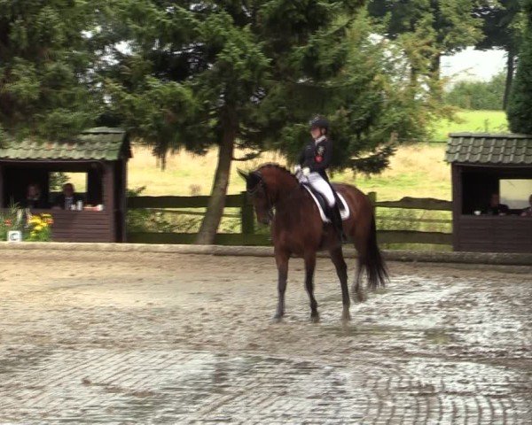 Reitturnier Datteln 2024