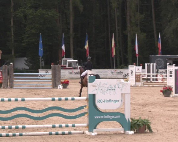 Reitturnier Ranshofen - Braunau am Inn 2024