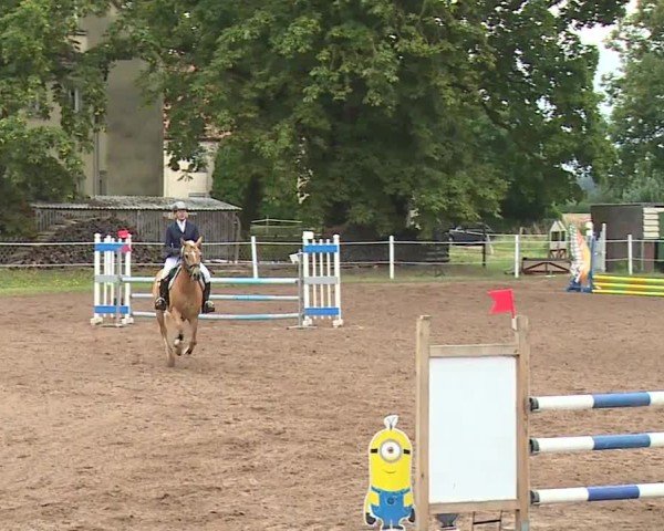 Reitturnier Demantsfürth/Mfr. 2024