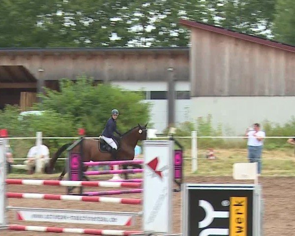Reitturnier Demantsfürth/Mfr. 2024