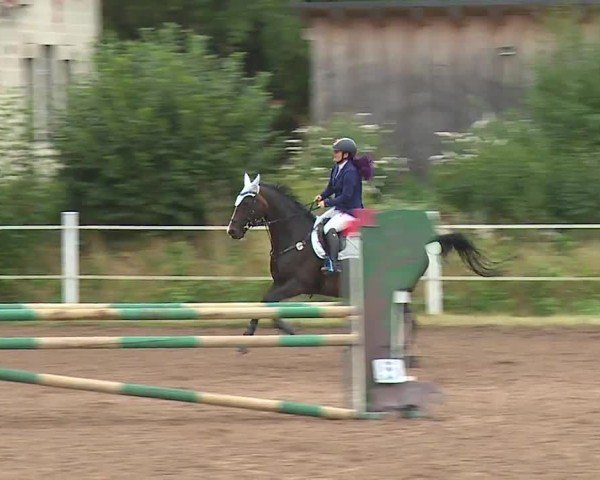 Reitturnier Demantsfürth/Mfr. 2024