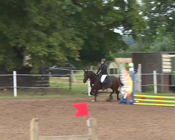Reitturnier Demantsfürth/Mfr. 2024