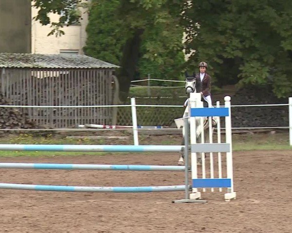 Reitturnier Demantsfürth/Mfr. 2024