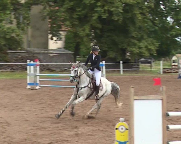 Reitturnier Demantsfürth/Mfr. 2024