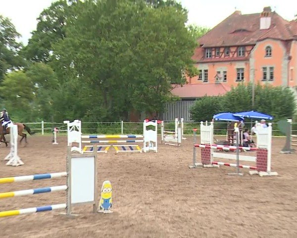 Reitturnier Demantsfürth/Mfr. 2024