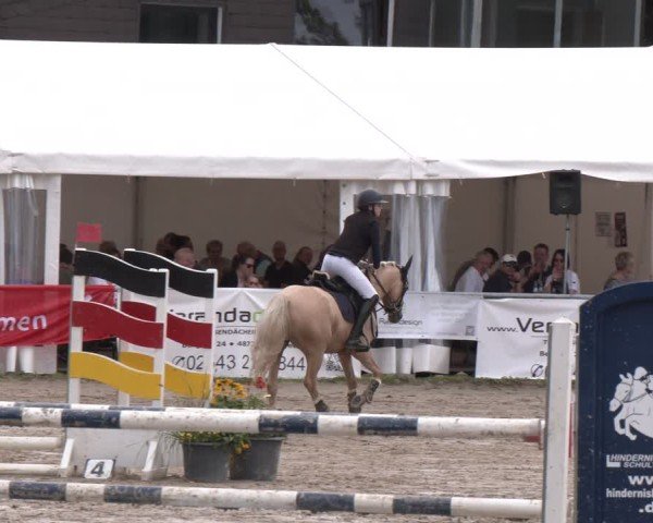 Reitturnier Datteln 2024